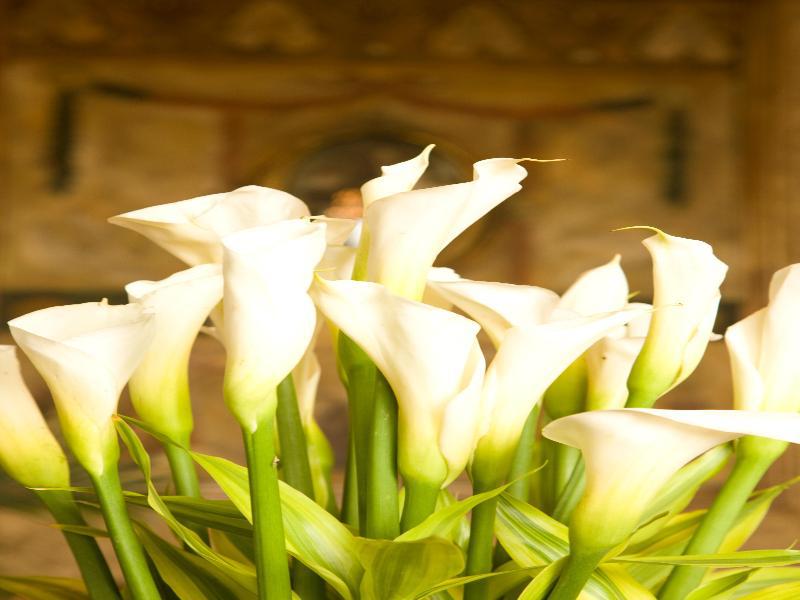 גוויאקיל Hotel Boutique Mansion Del Rio מראה חיצוני תמונה